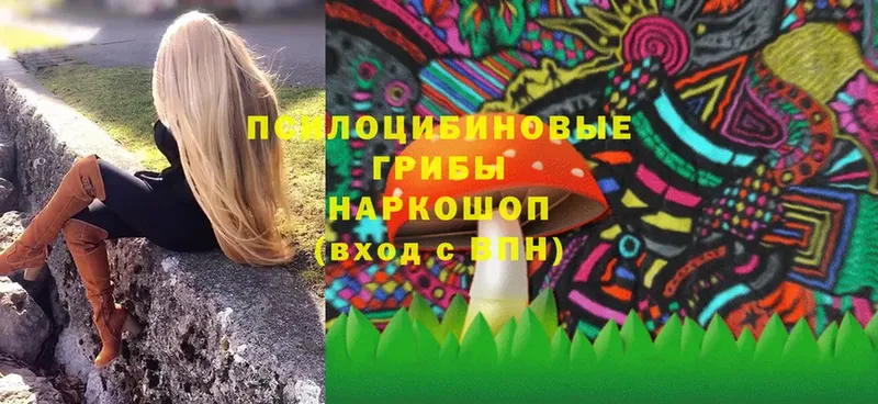 магазин    Суоярви  Галлюциногенные грибы Cubensis 